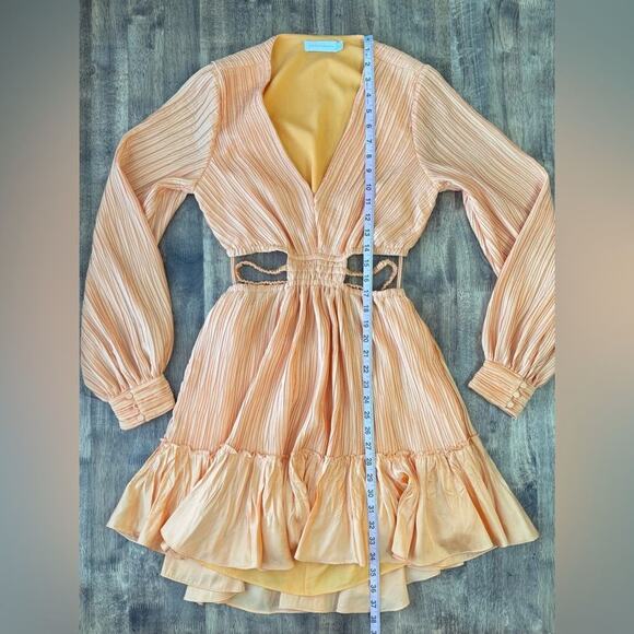 Jonathan Simkhai Women’s Londyn Cutout Long Sleeve Mini Dress Orange Size Small - Picture 8 of 9